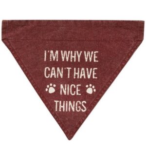 I'M Why We Can'T Have Nice Things Dog Bandana G54079 By CWI Gifts