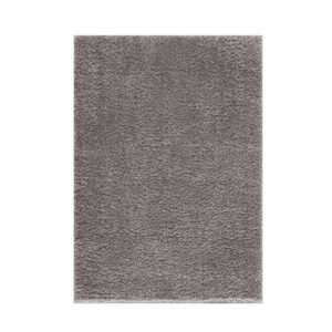 Camdyn Super Soft Polyester Shag Area Rug - Grey
