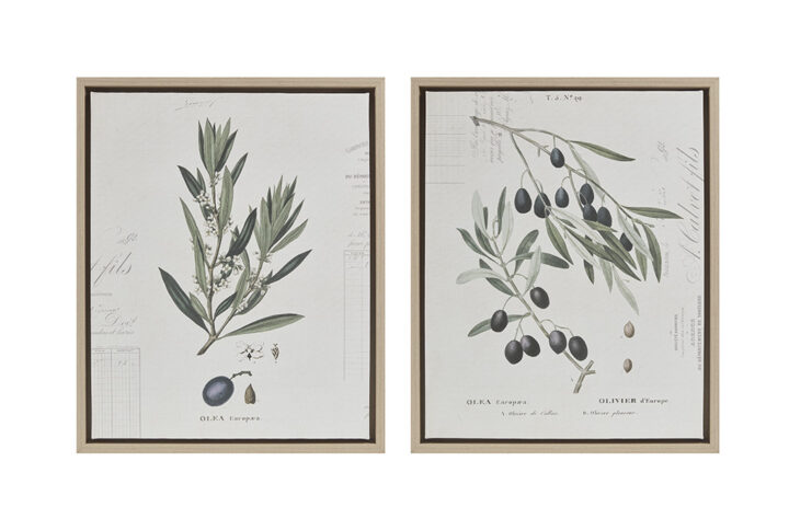 Botanical Illustration 2-piece Framed Canvas Wall Art Set