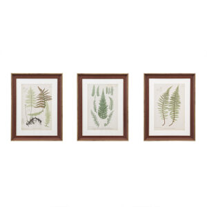Botanical Illustration 3-piece Framed Glass and Single Matted Wall Art Set