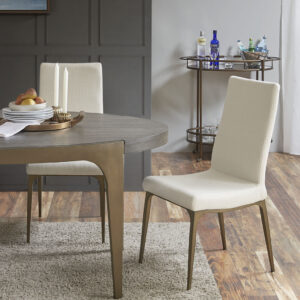 Dining Side Chair (Set of 2)