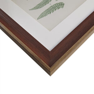Botanical Illustration 3-piece Framed Glass and Single Matted Wall Art Set