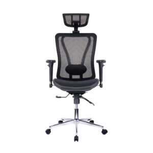 lower back lumbar support that make you sit relaxed in a thoughtfully designed office chair that adjusts according to your needs. A mesh back allows air to freely circulate