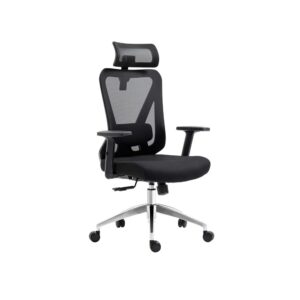 Experience unmatched comfort and productivity with the Techni Mobili Truly Ergonomic Mesh Office Chair. Elevate your workday with five precision adjustment points
