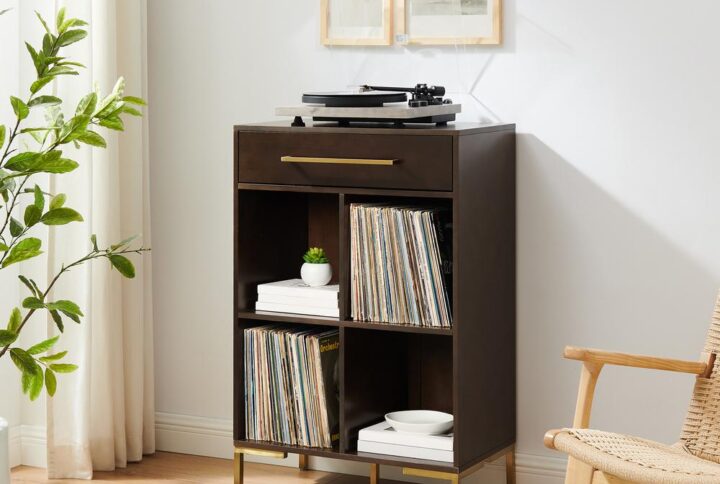 Incorporate streamlined modern storage into your home with the Juno Record Storage Cube Bookcase. Featuring a sleek silhouette and stylish hardware