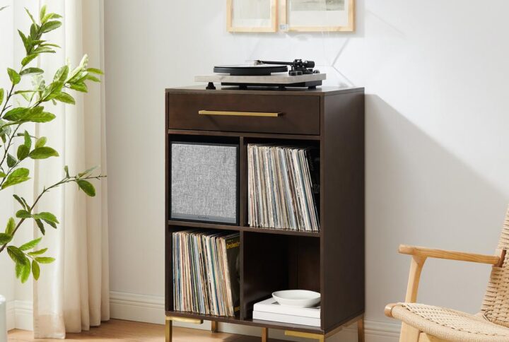 Incorporate streamlined modern storage into your home with the Juno Record Storage Cube Bookcase with Speaker. Featuring a sleek silhouette and stylish hardware
