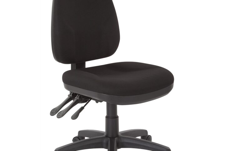 Dual Function Ergonomic Chair with Adjustable Back Height. Available in a variety of Fabric Grades. Fabric Padded Seat and Ratchet Back with Built-in Lumbar Support. One Touch Pneumatic Seat Height Adjustment. Dual Function Control. Heavy Duty Nylon Base with Dual Wheel Carpet Casters.