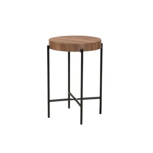 Savion Modern Industrial Walnut Brown Finished Wood and Black Metal End Table