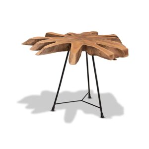Black End Table with Teak Tree Trunk Tabletop