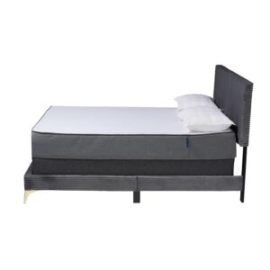 Abberton Modern and Contemporary Grey Velvet and Gold Metal Queen Size Panel Bed
