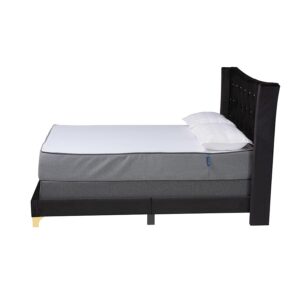 Glam and Luxe Black Velvet and Gold Metal Queen Size Panel Bed