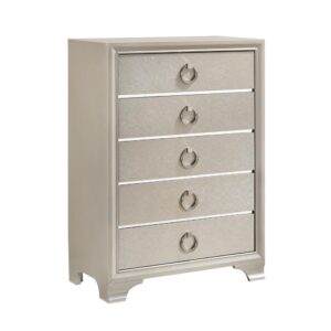 silver chest emanates graceful elegance. A metallic silver finish gives it a lovely touch of sparkle. Mirrored acrylic accents add even more stunning shine. With five spacious English dovetail drawers