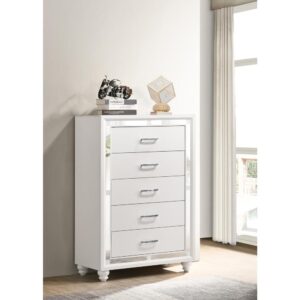 This contemporary five-drawer chest adds a twist to the typical two-tone look. It features a modern glam design that upgrades the fab factor of any bedroom. The chest features a white and silver finish that brightens up any modern home. The drawers are adorned with lustrous chrome bling horizontal pulls