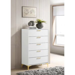Open up your tight bedroom floor plan with this stately modern glam chest. Five spacious drawers stacked on top of one another keep garments and bedroom essentials stowed away and organized