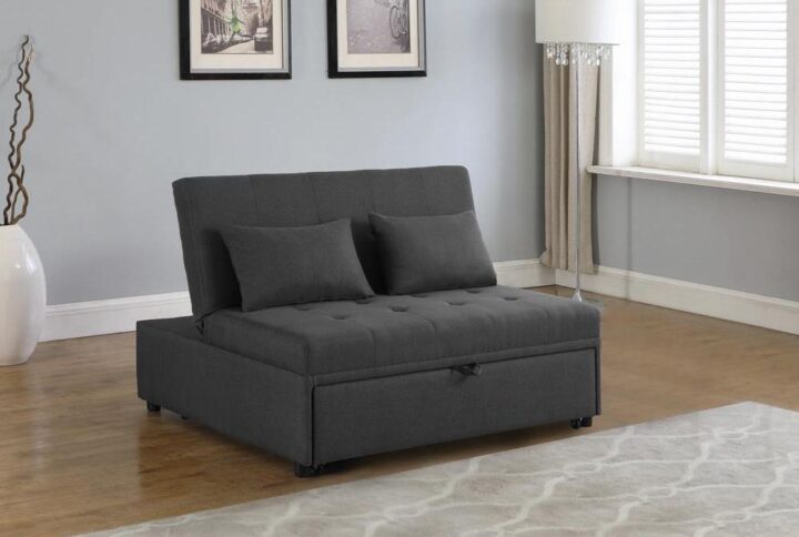 This ultra modern 2-person sleeper sofa