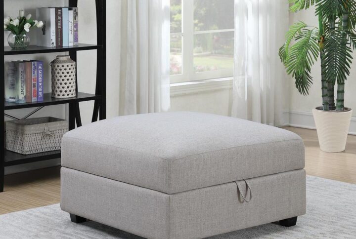 Upgrade a living room with the extra space from this grey storage ottoman. The simple silhouette showcases modern design with its clean lines. Store pillows