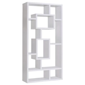 Put your most cherished memories on proud display. This bold bookcase features ten shelves of various sizes to show off your favorite keepsakes. With expert craftsmanship and high-quality materials
