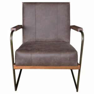 Damian Fabric Accent Chair