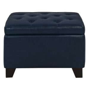 Julian Rectangular Bonded Leather Storage Ottoman