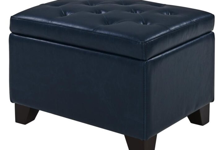 Julian Rectangular Bonded Leather Storage Ottoman