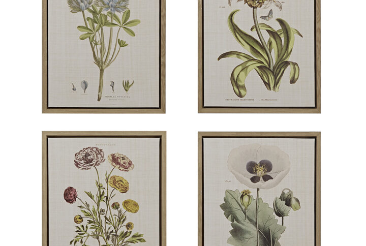 4-piece Botanical Illustration Framed Canvas Wall Art Set