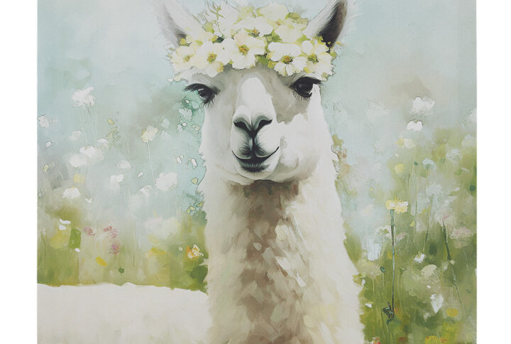 Llama Canvas Wall Art