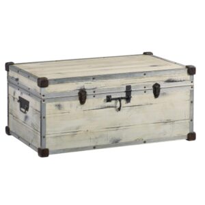 Accent Trunk from Progressive Furniture