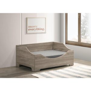 Pet Bed W/Cushion from Progressive Furniture