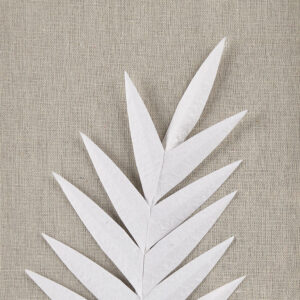 Framed Rice Paper Palm Leaves 3-piece Shadowbox Wall Decor Set