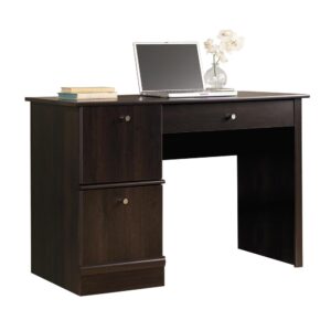 Get motivated and tackle your work with this computer desk from the Sauder Select collection. This home office desk offers plenty of room for your laptop or monitor and other desk essentials on its spacious tabletop surface. This desk with storage also features a flip-down molding with a slide-out keyboard/mouse shelf