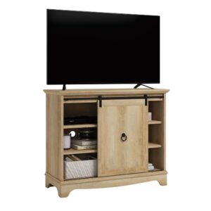 you get the best of both worlds: storage space and your living room floor back. This TV stand with storage accommodates up to a 43" TV weighing 50 lbs. or less. This functional TV stand with shelves features hidden storage behind a stylish sliding door that glides on a barn-style runner. With four adjustable shelves