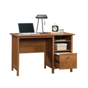 A simple desk that never goes out of style. This single pedestal desk from the Union Plain® collection will bring the basics back to the home office. This home office desk features a file drawer with full extension slides that holds all of your important letter-size hanging files. Or you could use it as a deep drawer for general storage. A convenient open storage area with an adjustable shelf allows you to customize the storage space of this computer desk with filing drawer to your liking. This open storage space is ideal for books