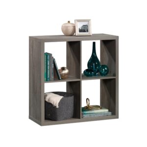 There is no such thing as having too much storage space in your home. Add versatile storage options to any room with the simplistic style and design of this 4-cube organizer from the Sauder Select collection. This storage bookcase features four spacious cubbyholes that provide you with the ideal amount of space to store and display a variety of different items like your collection of books