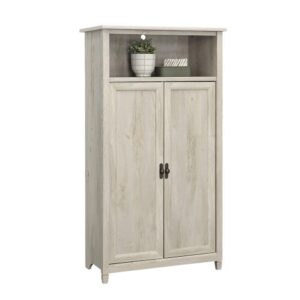 but you will find a functional and practical double door storage cabinet dressed in the bright