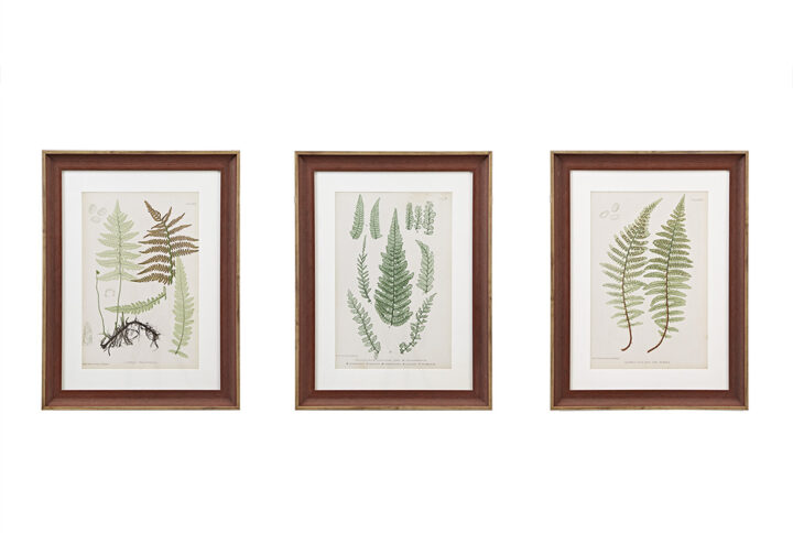 Botanical Illustration 3-piece Framed Glass and Single Matted Wall Art Set