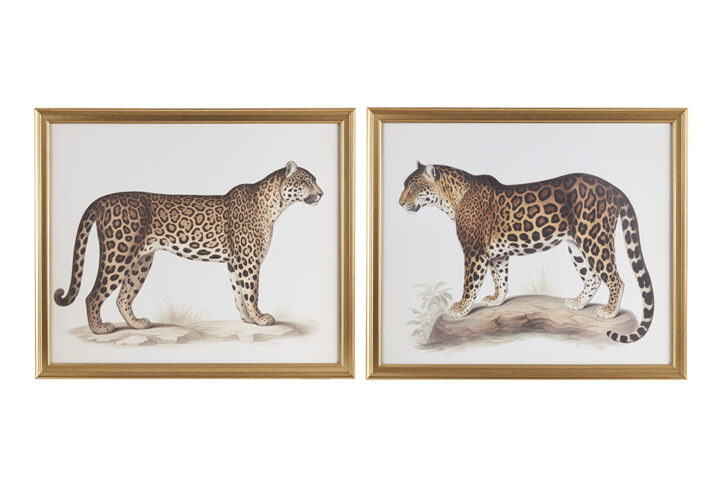 Cheetah Framed Graphic Wall Decor 2 Piece set