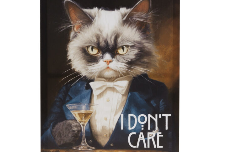 I Don't Care Canvas Wall Art