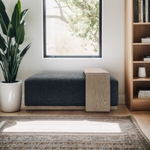 Bench/Cocktail Ottoman With Table