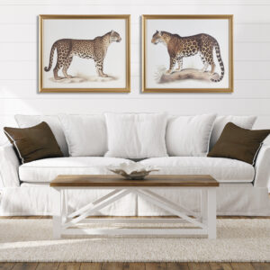 Cheetah Framed Graphic Wall Decor 2 Piece set