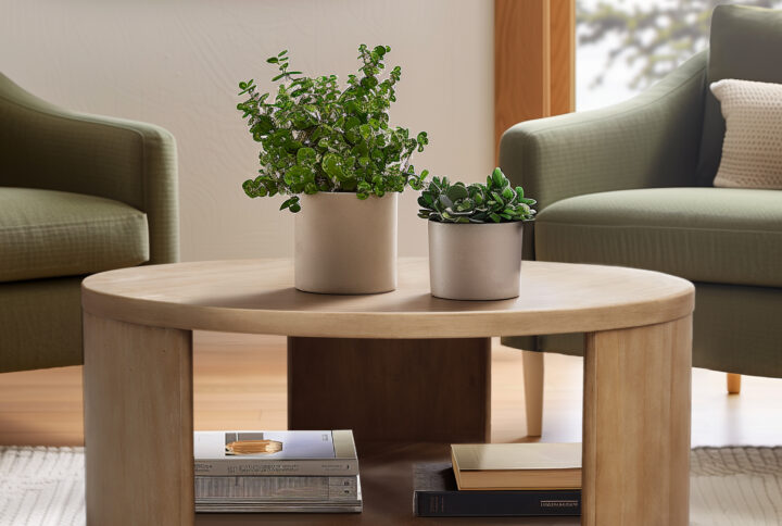 Round Coffee Table with Shelf