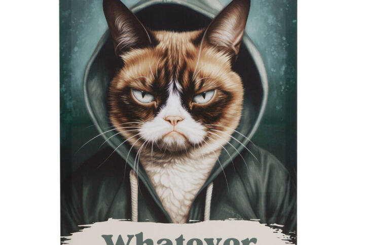 Infuse humor and charm into your living space with Tessa Kane's grumpy cat art. This canvas