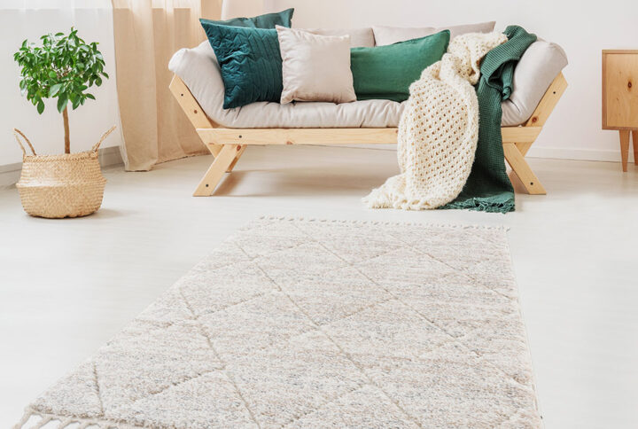 Bring a soft and elegant touch to your home decor with the Madison Park Sophia Talas Shag Area Rug. This machine woven