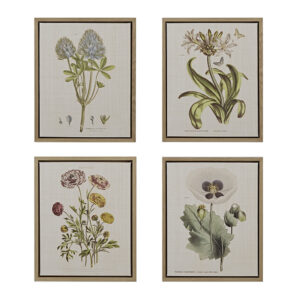 Add a graceful botanical charm to your home decor with the Martha Stewart Herbal Botany 4-piece Botanical Illustration Framed Canvas Wall Art Set. Wild flowers in nature inspired green and taupe tones are beautifully displayed on each of the framed linen canvas for warm cottage-inspired look. 2 D-rings are finished on the reverse of each piece make each botanic wall art easy to hang; Simply display this framed linen canvas set together or separately to give your living room