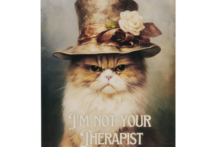 Inject humor and charm into your living space with Tessa Kane's grumpy cat art. This canvas