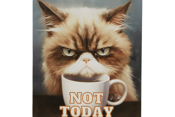 Elevate your indoor space with a dash of humor and whimsy courtesy of the grumpy cat art created by the talented Tessa Kane. Featuring the playful 'Not Today' saying