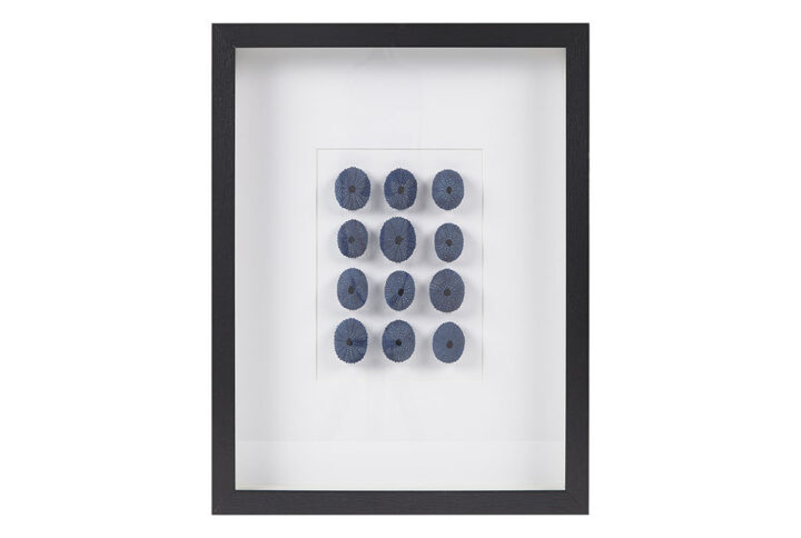 Our Martha Stewart Indigo Shells Framed Sea Urchin Shadow Box Wall Decor brings a modern coastal update to your home decor. This shadowbox wall art features 100% real sea urchin shells that are cut