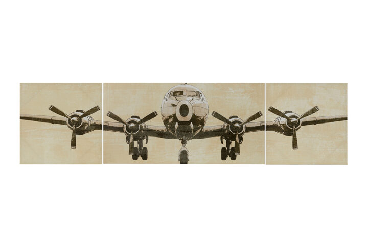 Create a soaring display with Flight Time Triptych 3-piece Canvas Wall Art Set by Artist Doug Hernandez. This wall art features a large airplane spread across three canvases in light and dark natural colors for a striking appearance. The gel coat gives each canvas a glossy finish and additional texture that adds dimension to each piece