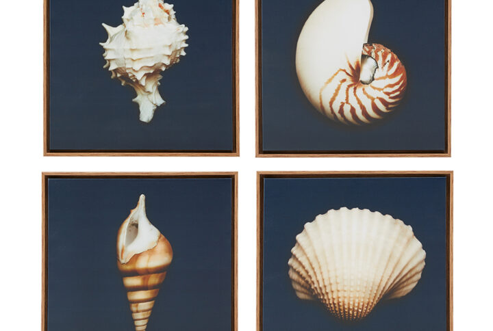 The Madison Park Ocean Seashells 4-piece Framed Canvas Wall Art Set by Artist Julie Greenwood adds a dynamic coastal update to any room in your home. This four piece canvas wall art set shows different realistic seashells against a lush navy background