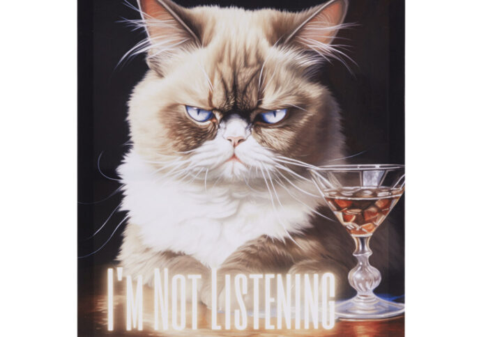 Infuse your living space with humor and charm through Tessa Kane's grumpy cat art. This canvas