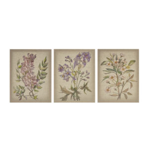 Bring the organic touch of a charming garden inside your home with our Madison Park Linen Botanicals Illustration 3-piece Canvas Wall Art Set